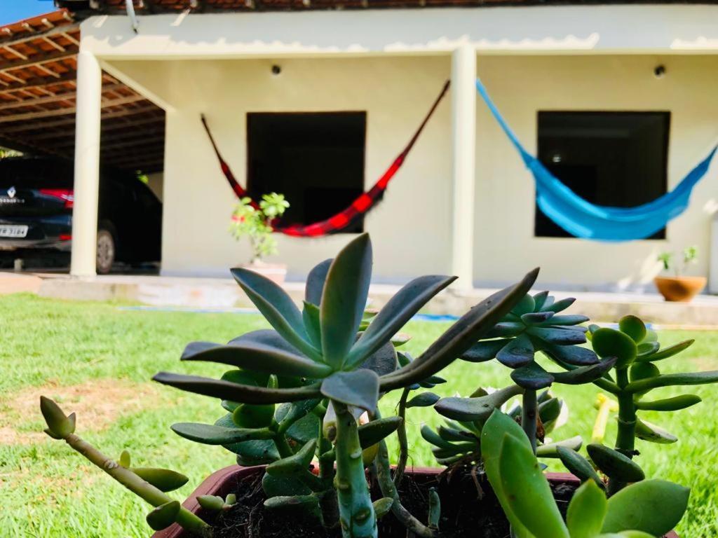 Casa Em Barreirinhas 01アパートメント エクステリア 写真