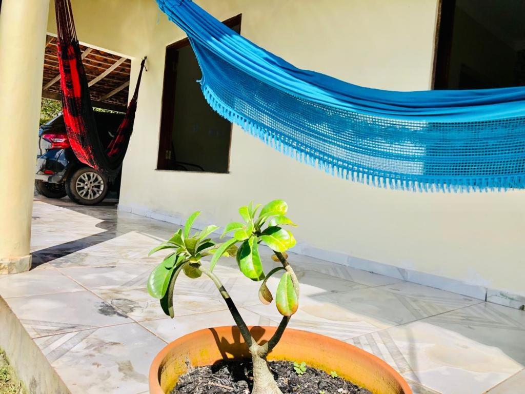 Casa Em Barreirinhas 01アパートメント エクステリア 写真