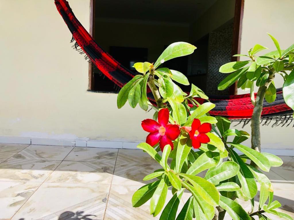 Casa Em Barreirinhas 01アパートメント エクステリア 写真