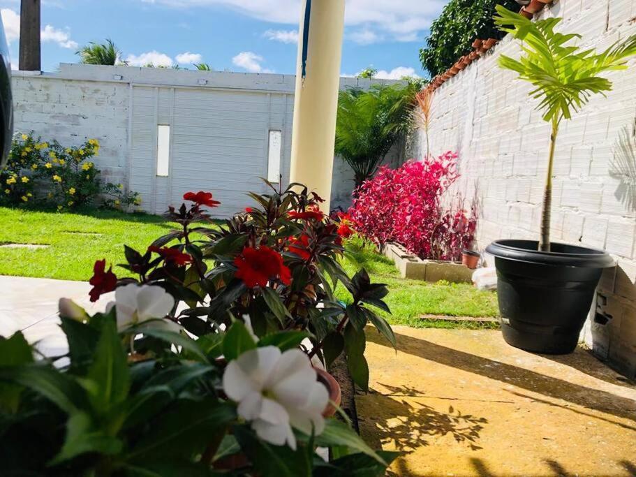 Casa Em Barreirinhas 01アパートメント エクステリア 写真