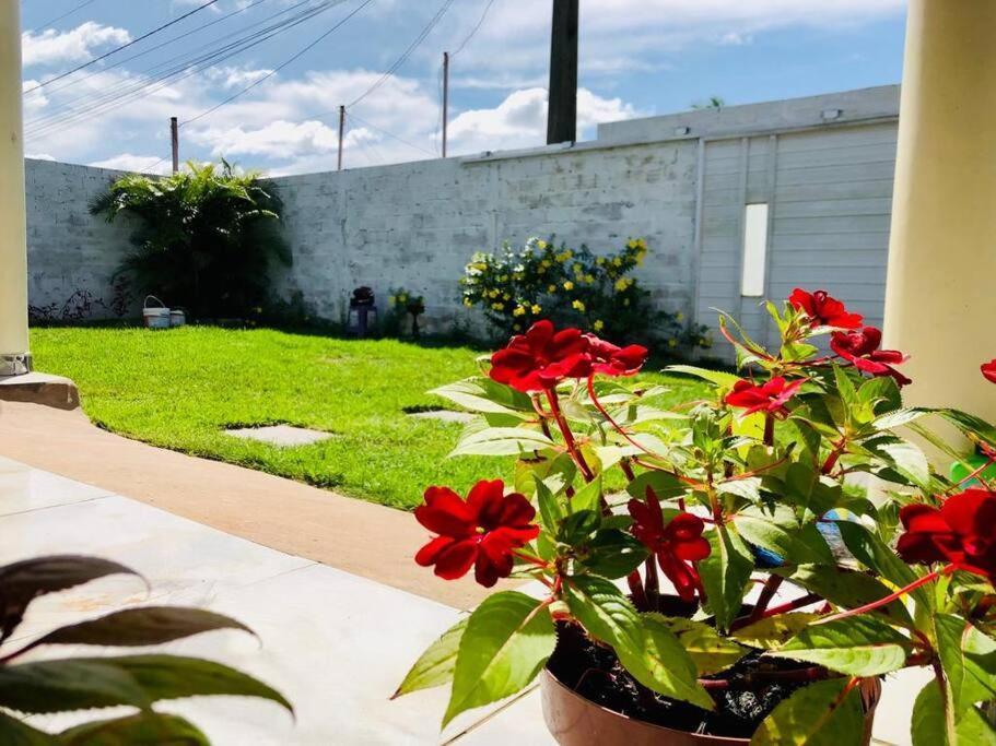 Casa Em Barreirinhas 01アパートメント エクステリア 写真